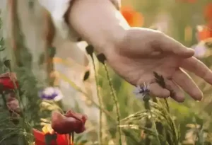 Funerárias unidas | How Many Days of Compassionate Leave Am I Entitled to After a Bereavement?